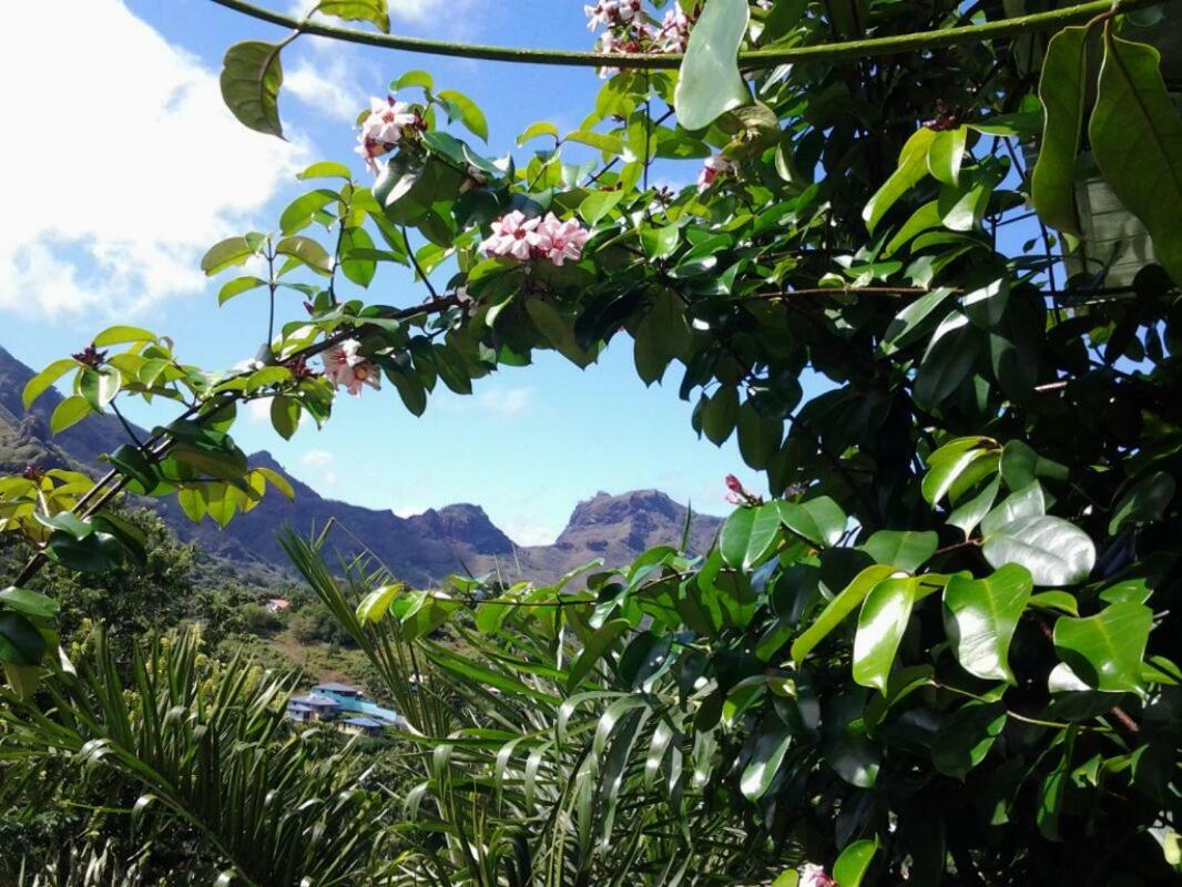 Fare Manutea Nuku Hiva Exterior foto